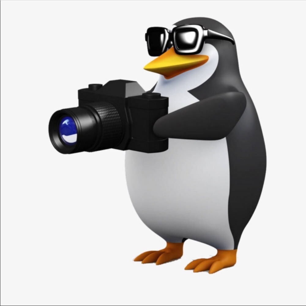 Videos and detailed pictures taken
